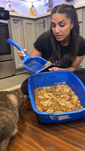Kitty Litter Cake This realistic Kitty Litter Cake is hilarious and really easy to make. All you need are some basic ingredients and your imagination Original Video was produced by Rick Lax and Natalini | Life According to Us