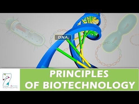 PRINCIPLES OF BIOTECHNOLOGY