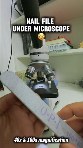 Nail File Under the Microscope!