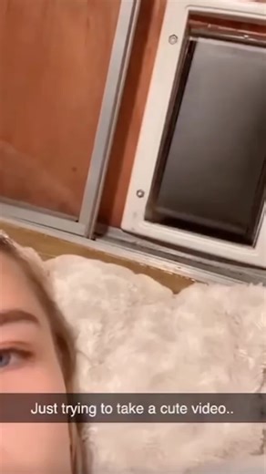 Adorable Cats That Will Make You Smile