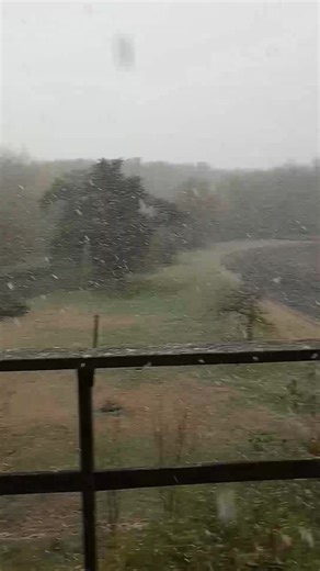 Let it snow. Won't stick though. | David Whitney