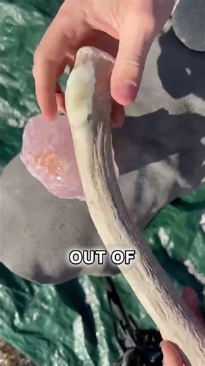 Crazy Rose Quartz Blade!🌹😱(‪@LavaBladez‬ )