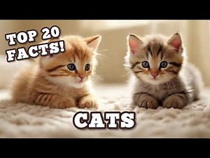 20 Amazing Facts About Cats 🐱 | Fun for Kids & Adults