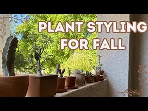 How I Restyle My Plants for Fall 🍃