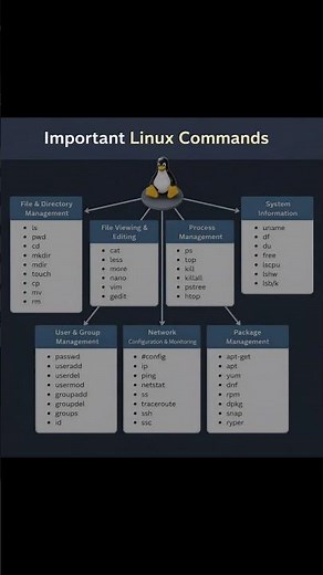 Important Linux Command