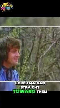 The TOUCHING story of Christian the LION! 🦁❤️ #christianthelion #shorts