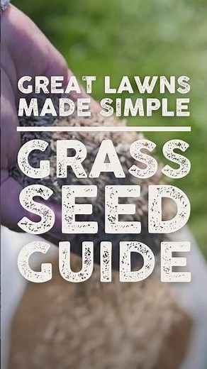 Grass Seed Guide
