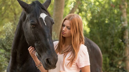„Ostwind“-Filme-Reihenfolge: Alle Filme im Überblick