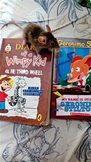 diary of a wimpy kid and Geronimo Stilton. the mouse escape trailer