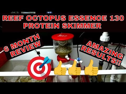 Reef Octopus Essence 130 Protein Skimmer - 6 Month Review - Protein Skimmer Update