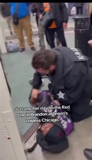 Would you ride on Chicago’s red line? | Edie Cornelius