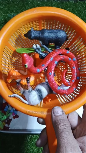 Satisfying ASMR Animal Toys, Safari Animal Figures | Zoo Animal Toys, #shorts