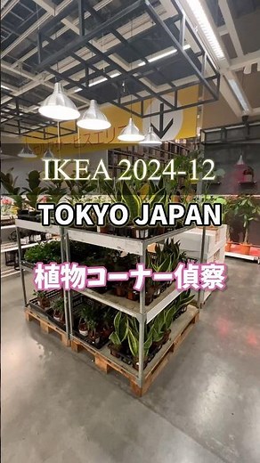 【イケア】植物コーナー偵察！ #観葉植物 #houseplants #イケア #ikea