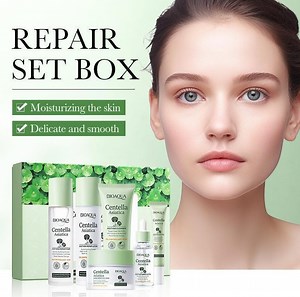 [Hot Item] Online Wholesale in Stock Private Label Facial Revitalizing Centella Asiatica Skin Care Set Calming Anti Acne Cica Repair Cream Skin Set