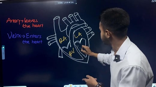8.7K views · 77 reactions | HSC 27 Biology Lesson: Structure and Function of Human Heart | English Version Guideline | HulkenStein | Facebook