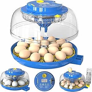Amazon.com: 18 Chicken Egg Incubators for Hatching Eggs with Automatic Egg Turning and Humidity Control, High Hatch Rate Poultry Incubator for Chicken, Ducks, Goose, Pigeon, Quail, Ideal for Home, Farm, School : Industrial & Scientific