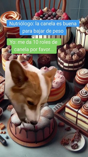 La canela y los memes: Bajar de peso con humor