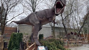 Dinosaur exhibit returns to Roger Williams Park Zoo