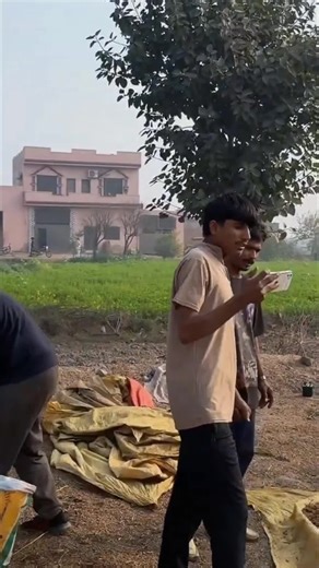 Essential Animal Care Powder for Healthy Livestock