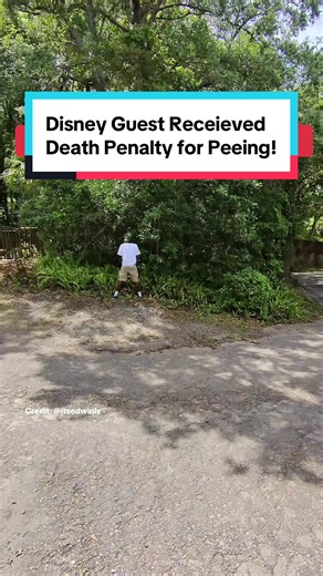 Do you think this is a fair punishment for peeing on a ride? #disneyworld #disneynews #animalkingdom #kilimanjarosafaris #deathpenalty