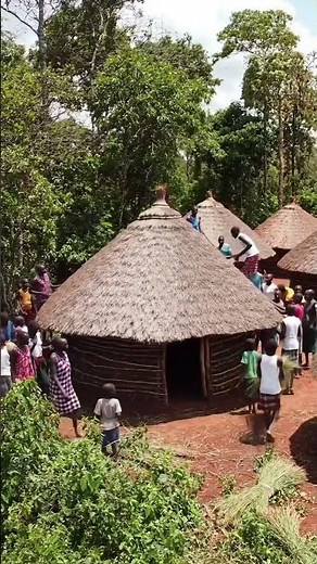 Building Heritage: Traditional Tribal Homes in South Africa's Forests..