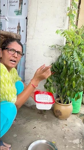 Ye kya 🙀 ker diya mummy | Fresh from the Garden! 🌶️😍”