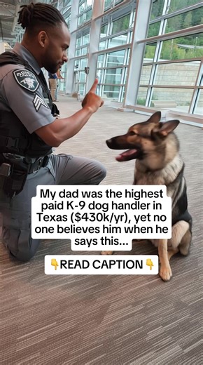 Apples are not only a great treat full of vitamins for our K-9s, it also helps them manage stress levels. Chronic stress for dogs isn’t just uncomfortable, it can actually shorten their life by over 6 years 😞 Training our K-9s takes REALLY long time so we really care about their lifespan. Giving them Chamomile tea extract twice a day has proven to increase their average lifespan by 8 years!! Most of our dogs live until 24 🫶Comment “chamomile” if you want the recipe 💕 If your dog’s peeing ever