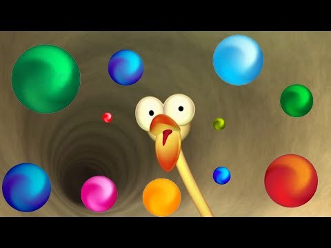 Gazoon - Berguling Di Hutan Afrika | Kartun Lucu | ToBo Kids TV Bahasa