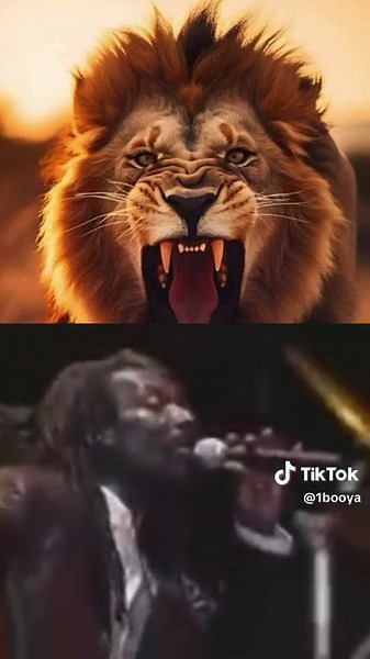 Joseph Hill culture lyrics #josephhillculture🇯🇲🎵🔥♥️ #reggealovers💯👊🏿❤️💛💚 #foryou #fyp #trend #viral_video