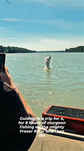 24 reactions | Membership Monday https://www.wildsheepsociety.com/membership | Wild Sheep Society of British Columbia | Facebook