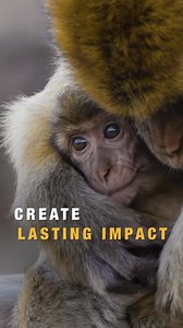 This Giving Tuesday, let’s grow something extraordinary. 🌱 One seed, one tree, one act of kindness can transform our planet. When you give today, you're not just planting trees — you're planting hope, clean air, thriving wildlife, and a greener future for generations to come. Your Giving Tuesday gift isn’t just a donation. It’s a promise to the planet, a pledge to protect what matters most. Give back to this planet this giving Tuesday. 🌍 Plant trees. Change lives. Donate today. 🌳 https://onet