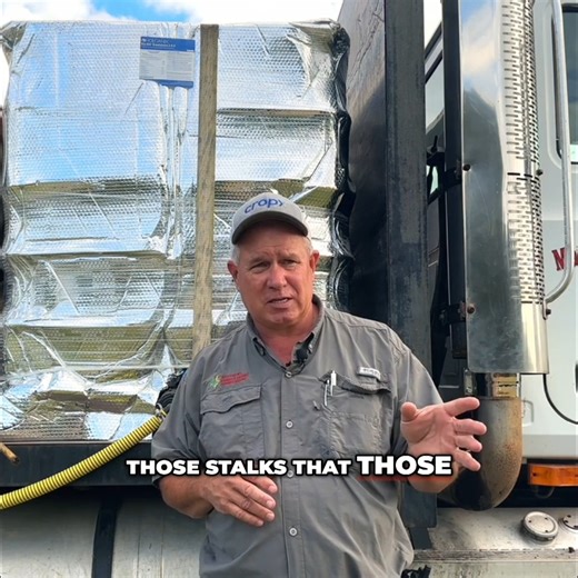 11K views · 49 reactions | I got tired of dragging last year’s corn stalks into this year’s problems. Get the whole story here  https://www.xtremeag.farm/stalk-fertility #corn #farming #agriculture #bio800. Holganix | XtremeAg.farm | Facebook