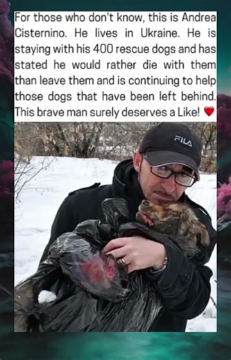 The Hero Who Refused to Leave His 400 Dogs Behind 🎖️🐕