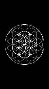 3.6K views · 94 reactions | A closer look into the geometry of the Flower #natureofflowers #sacredgeometry #sacredgeometryartist | Natureofflowers | Facebook