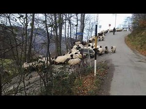 Les Textiles Soundtrack 2004