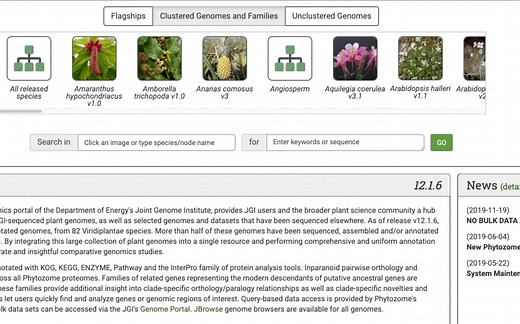 phytozome序列查找