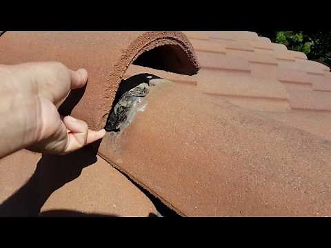 Orange County Roof Inspection for a Concrete "S" Tile Roofing in Mission Viejo, Ca