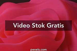 Video Easyworship Background Terbaik