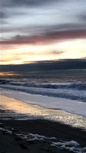 How much do you love #challenge #fyp #shorts