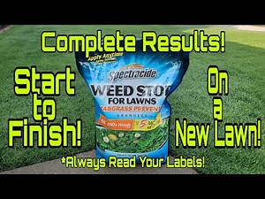 Spectracide Weed Stop For Lawns // Complete with Results!
