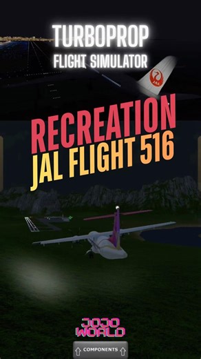 TFS : JAPAN AIRLINES FLIGHT 516