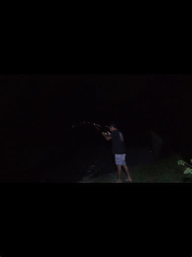 Mancing Ikan Predator dari Bendungan Tinggi