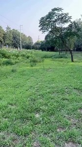 Flying squirrel takes flight 😍 | LDI Games