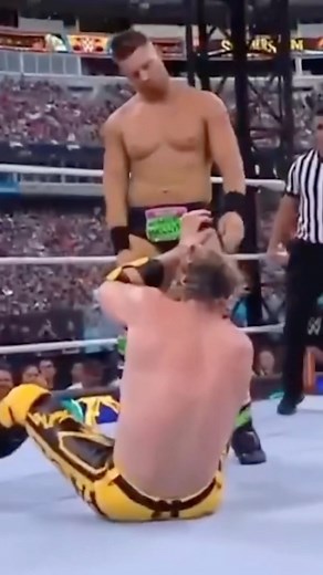 Mike "The Miz" Mizanin on Instagram: "This is the real highlight reel. #SummerSlam"