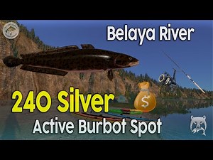 📌RF4 - BEST BURBOT SPOT on Belaya River! (240+ Silver/20 Min!)