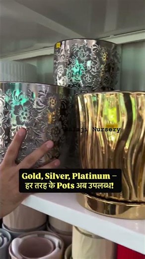 Gold, Silver, Platinum – हर तरह के Premium Pots 🪴