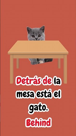 🎵 Learn Spanish Prepositions with This Catchy Song! 🐱✨