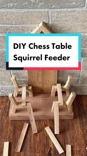 Guide to DIY Squirrel Feeders