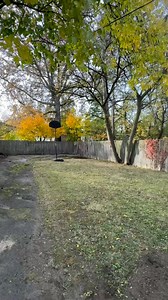 #FallCleanUp | Ron Oliver