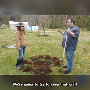 How to Plant Fruit Trees That Will Last Decades! 🌳 | Pioneering Today - Melissa K. Norris
